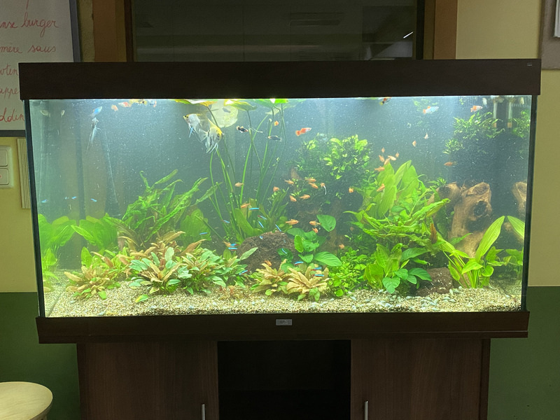 Sfeerbeeld van Pro Aqua