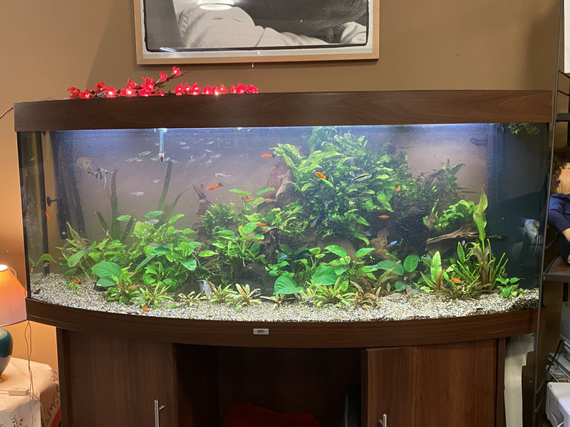 Sfeerbeeld van Pro Aqua