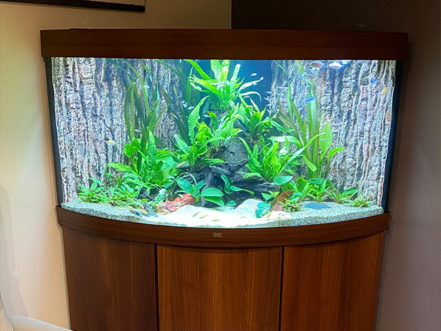 Sfeerbeeld van Pro Aqua