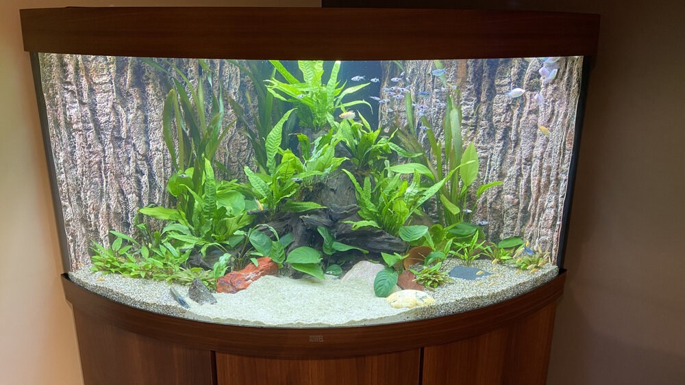 Sfeerbeeld van Pro Aqua